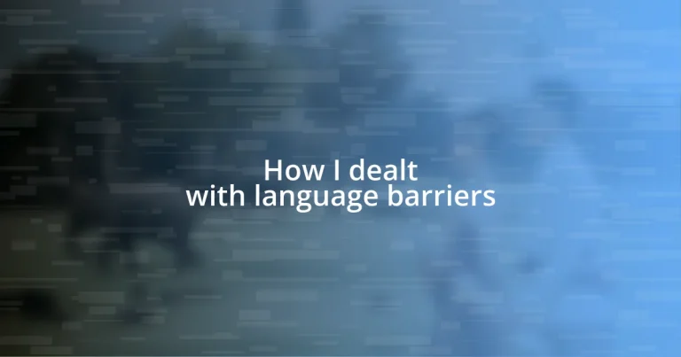 How I dealt with language barriers